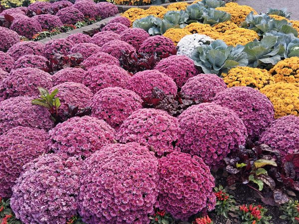 Découvrez l'urne mariage voyage : un symbole d'amour inoubliable