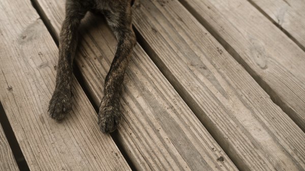 Quel système de chauffage au sol est le plus adapté pour une maison construite sur un vide sanitaire?